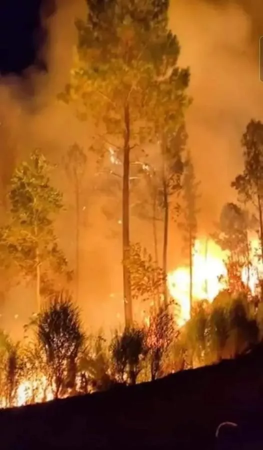 334968572_251491320557174_5451383459205580046_n