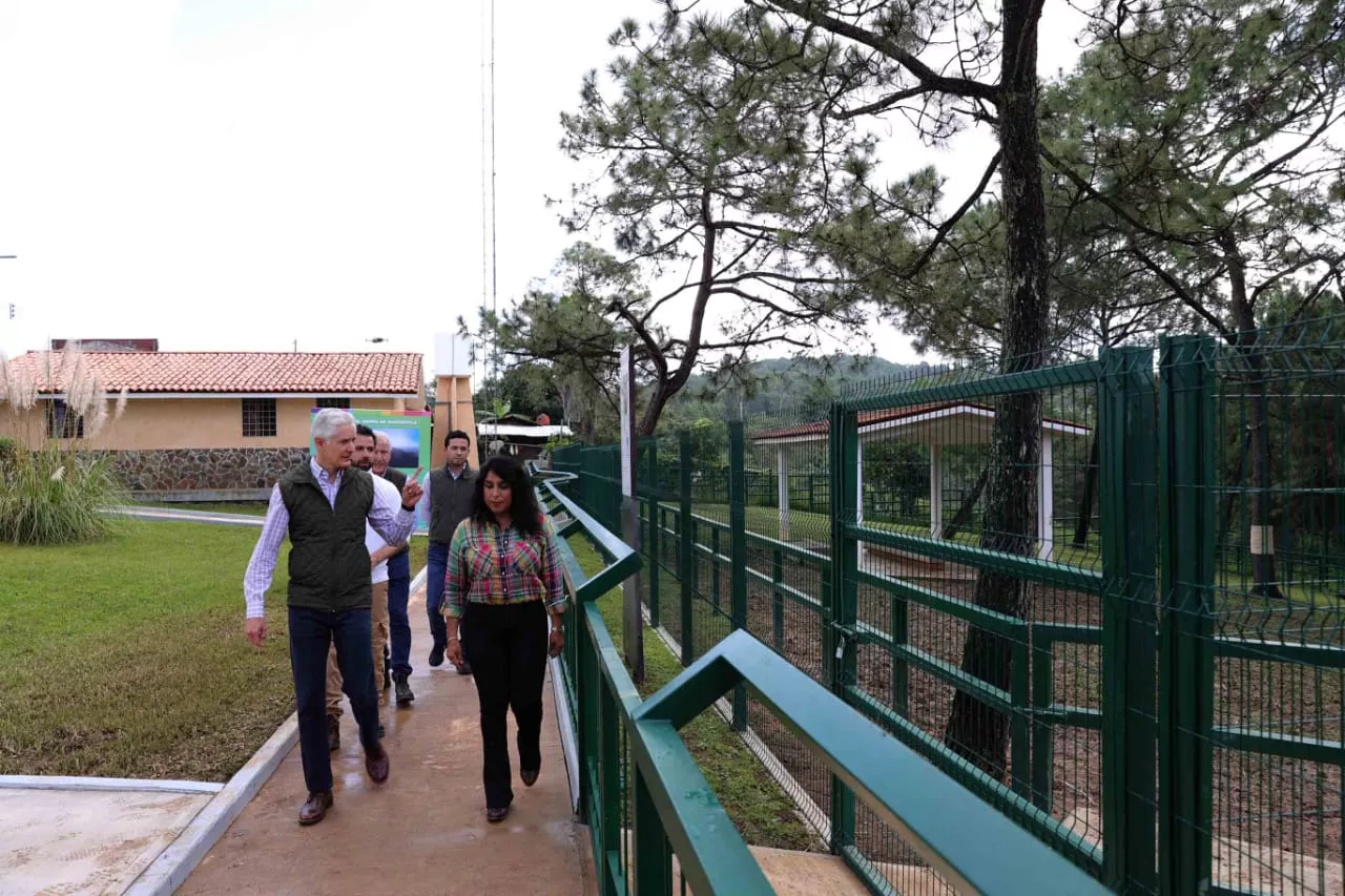 111E67DE-9A7C-497C-93CC-5AA4B3D9C39D