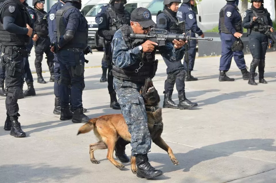 5C73F350-B77F-48C2-AB12-C50718C3F04B