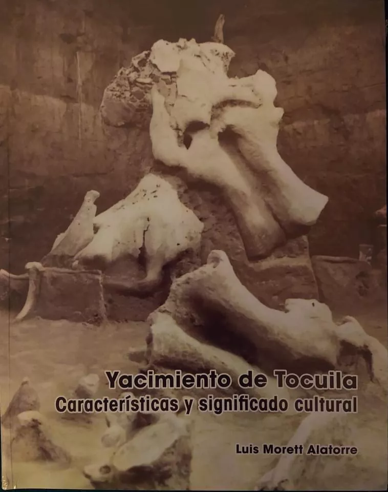 0C2C6350-BDAF-46A3-B761-29D7FC226E85