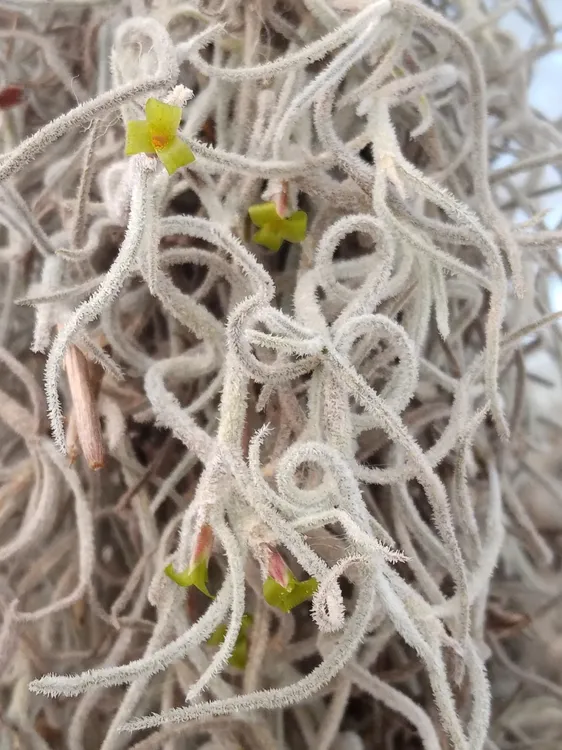 C6D6B043-56BE-4D36-AF07-C5C4A2B3E2DD