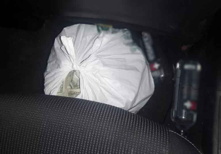 D89A404C-F188-4633-AFC4-50D85C897995