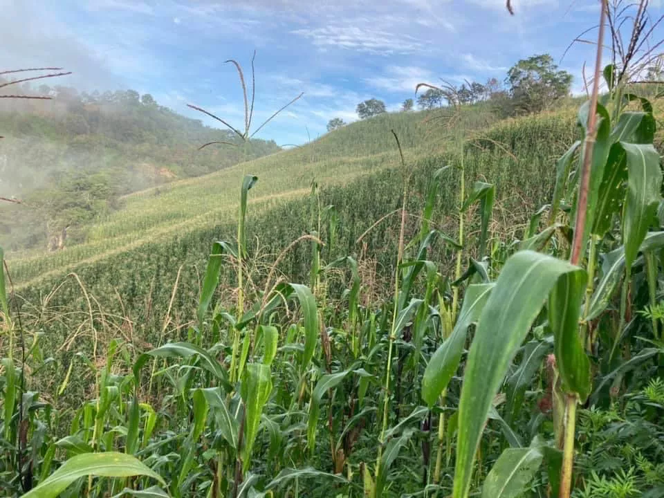 B9AF8618-A0BF-4B5D-B0BB-8DC544F58093