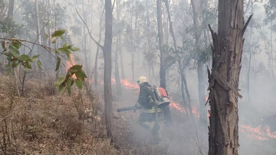 8030DA26-7D72-4243-9047-C83ACAAC1E2E