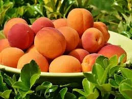 17521686886012938676600351504685