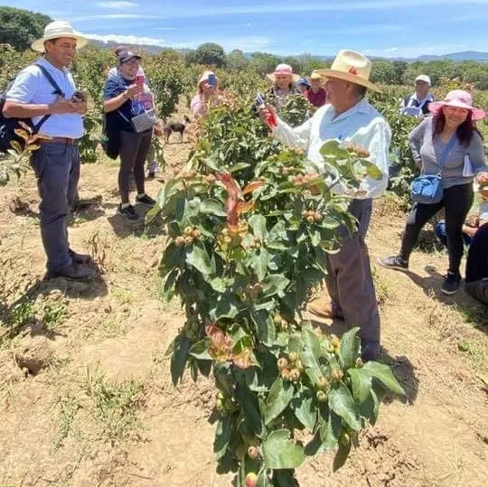 facebook_1720658440583_7216964579972279031~3