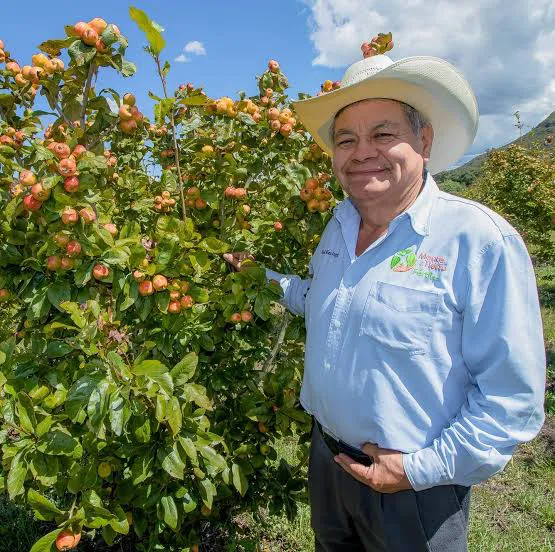 17301328691124966312437188960269