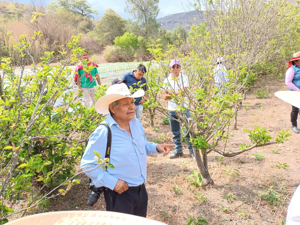 IMG_20220429_160754707