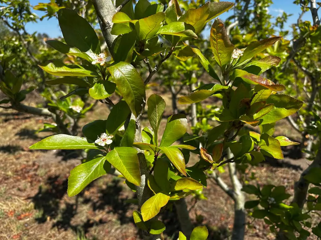 facebook_1741625017474_7304904777293909778