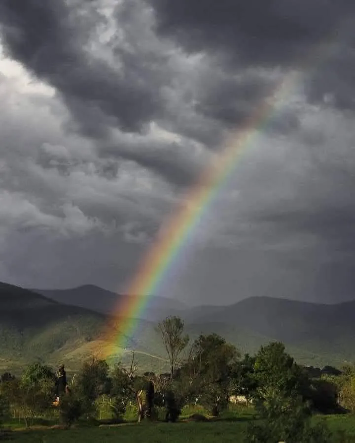 facebook_1768744309008_7418651330252083183