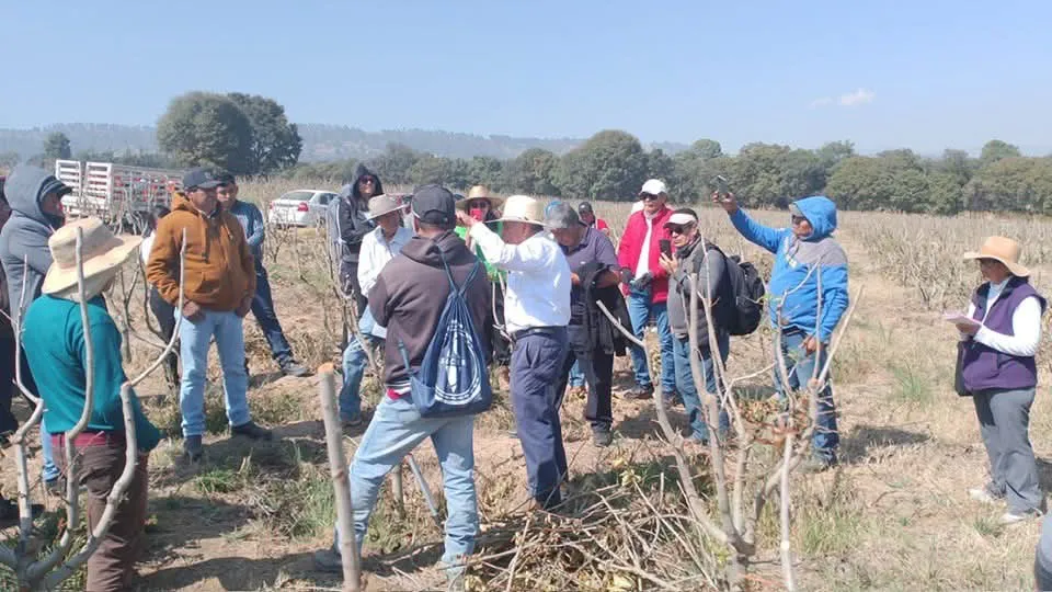 facebook_1737811418562_7288909384122076354