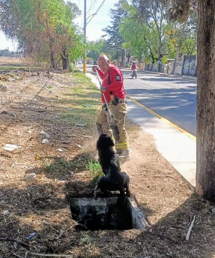 IMG-20250224-WA0062~2