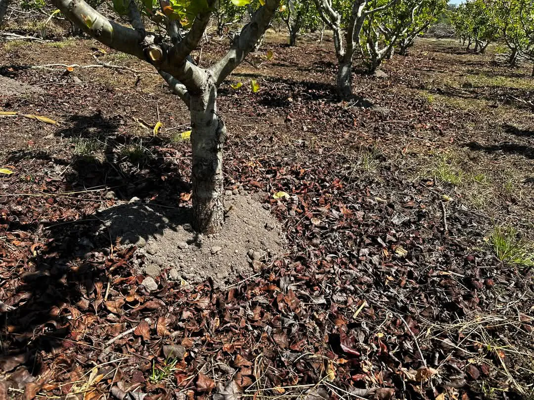 facebook_1741635840102_7304950170684794808