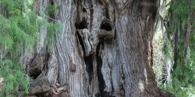 D4DAA754-F44F-43C3-B95D-F4F340A34BE1