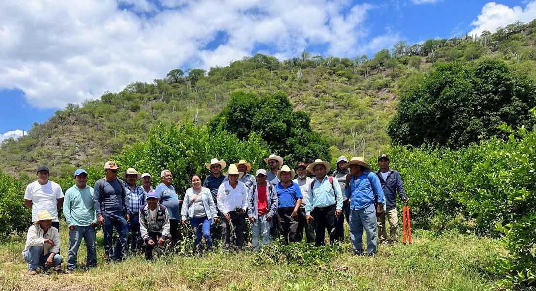 IMG-20250915-WA0072~3