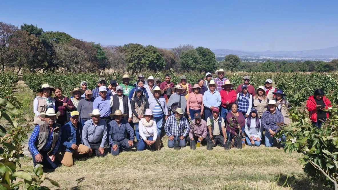 IMG-20250415-WA0006~2