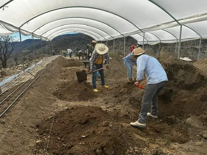 facebook_1704649886483_7149819837479128055