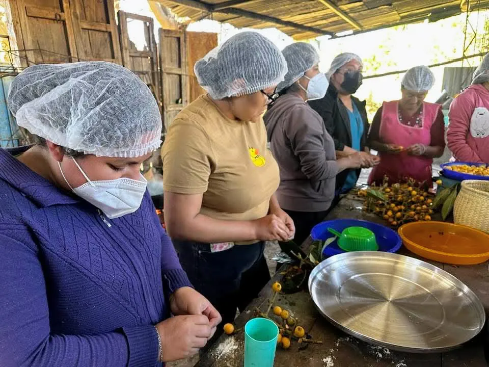 facebook_1735249433808_7278163641220433158