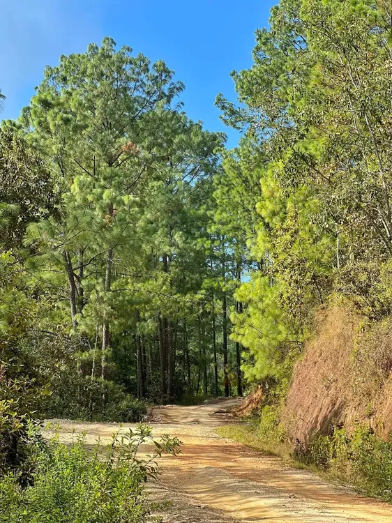 facebook_1763641915580_7397250341086897811