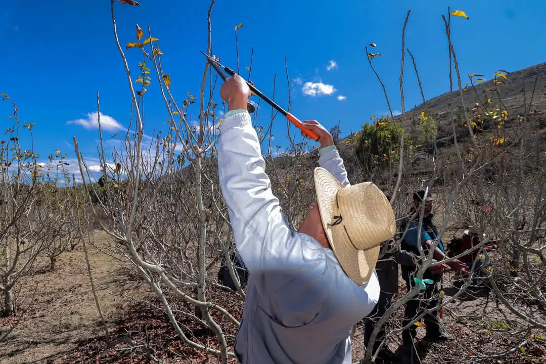 facebook_1738071812799_7290001556711435309