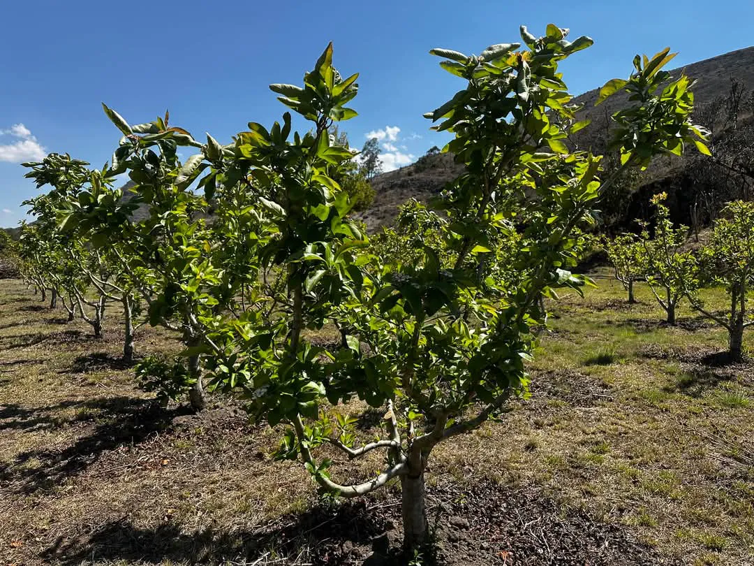 facebook_1741624953711_7304904509851519993