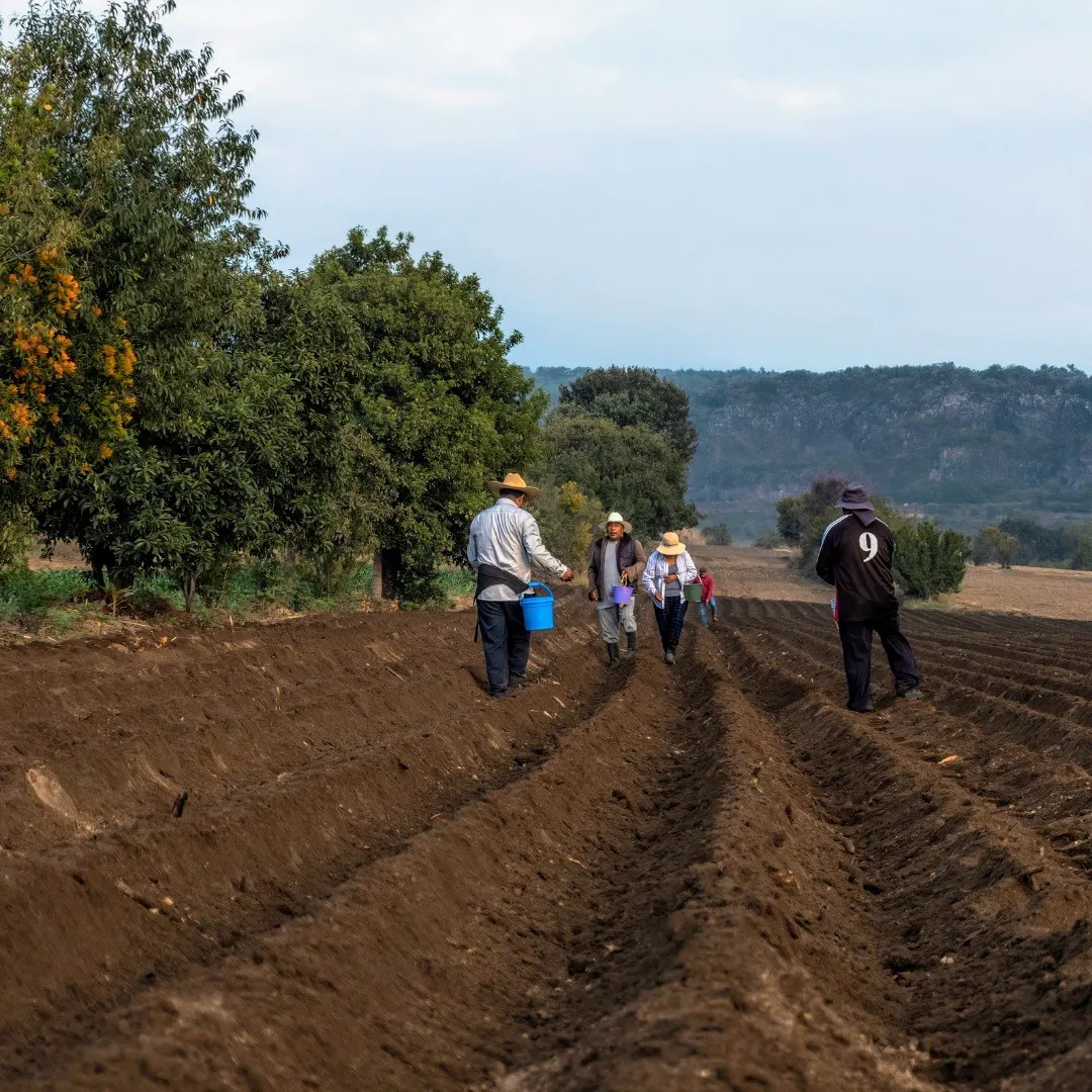 IMG-20241015-WA0030~2