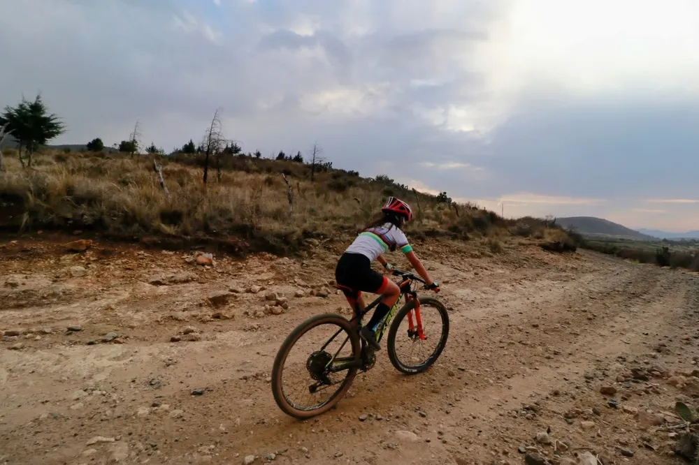 IMG-20241023-WA0012~2