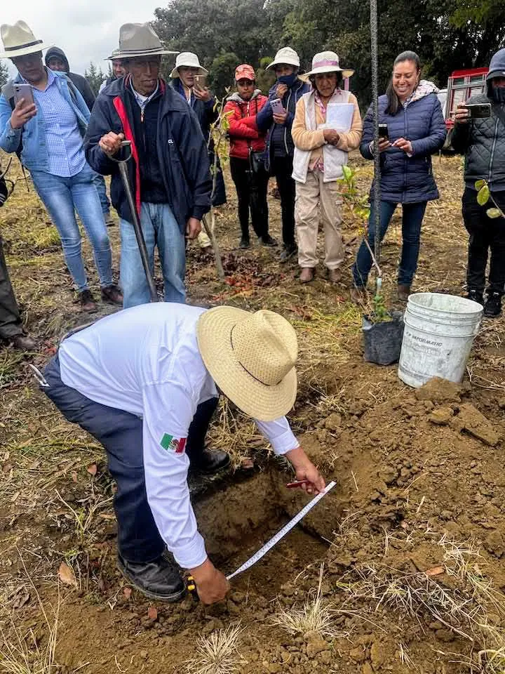 facebook_1740058692675_7298335134924409087