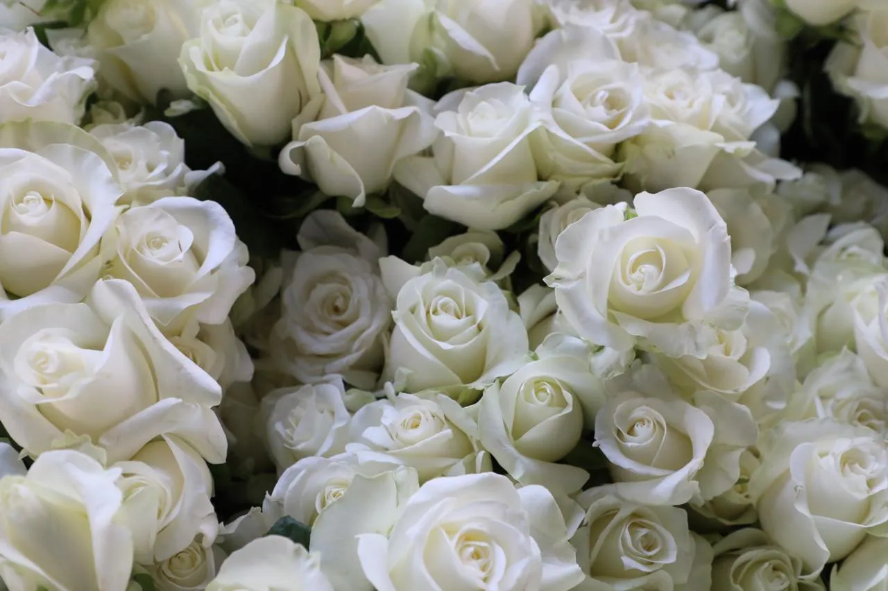 IMG-20241211-WA0014