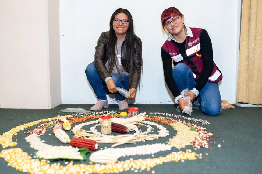 17066610394537376740222364018452