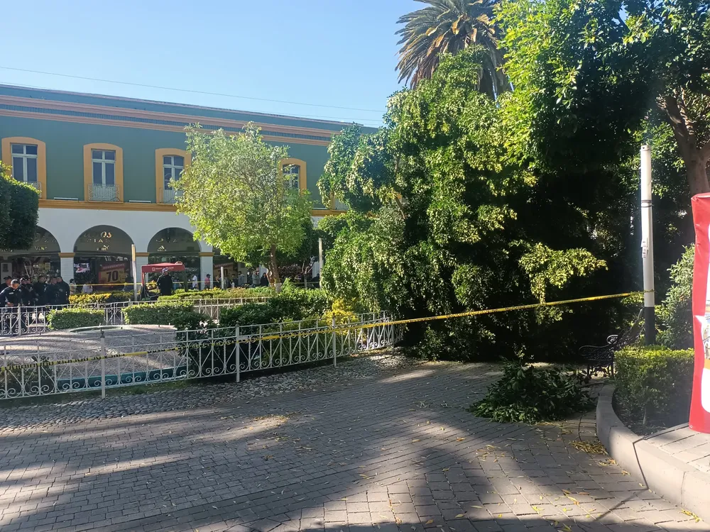 IMG_20240104_142146951