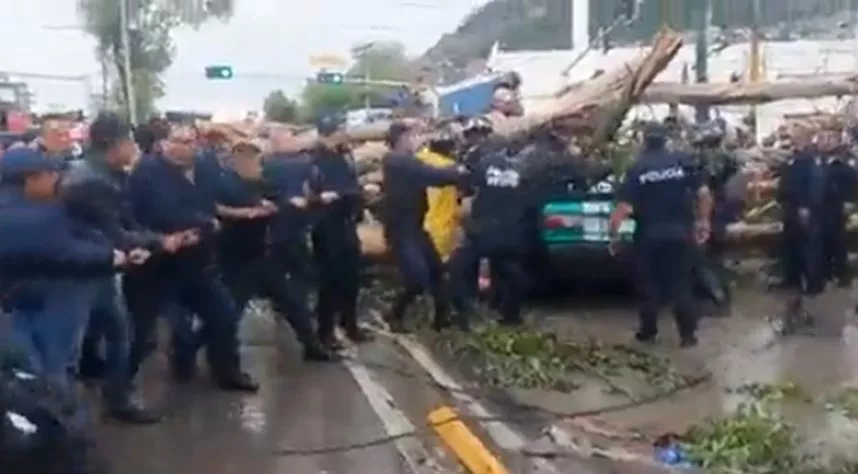árbol cae sobre automóvil