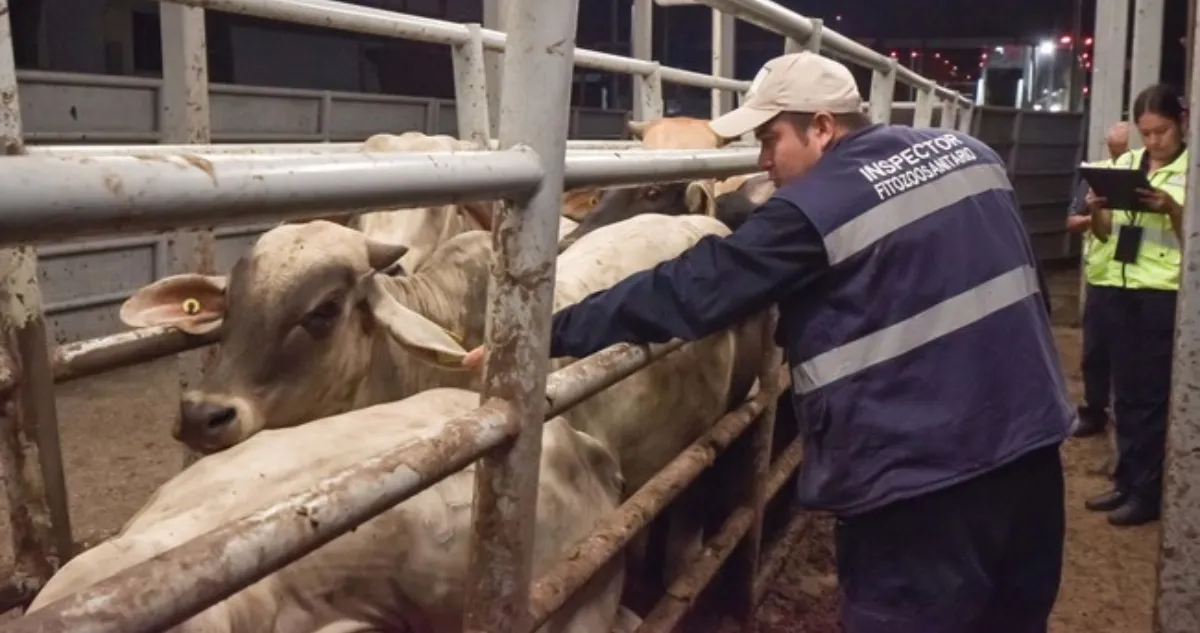 17552673244826750654007119852757