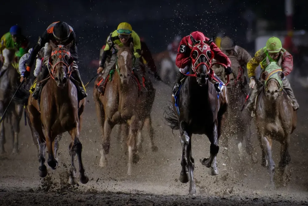 E548855F-94FB-4DB1-859C-0DBC9C6BA144