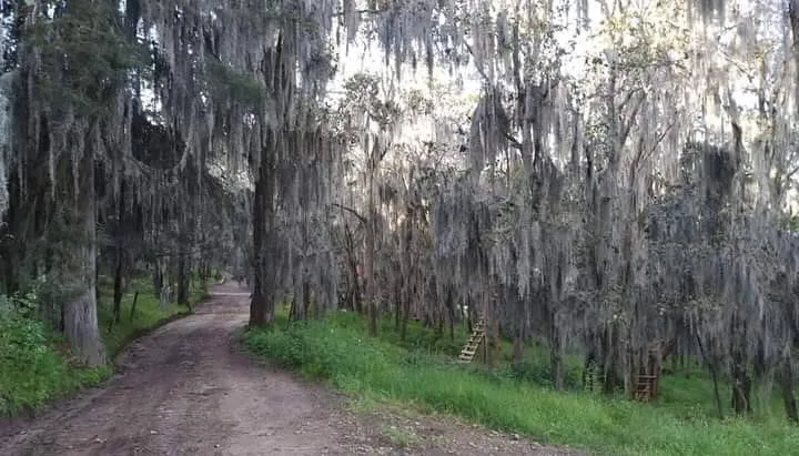 E953BAE3-B685-4C00-988C-78E83B4DFF4A