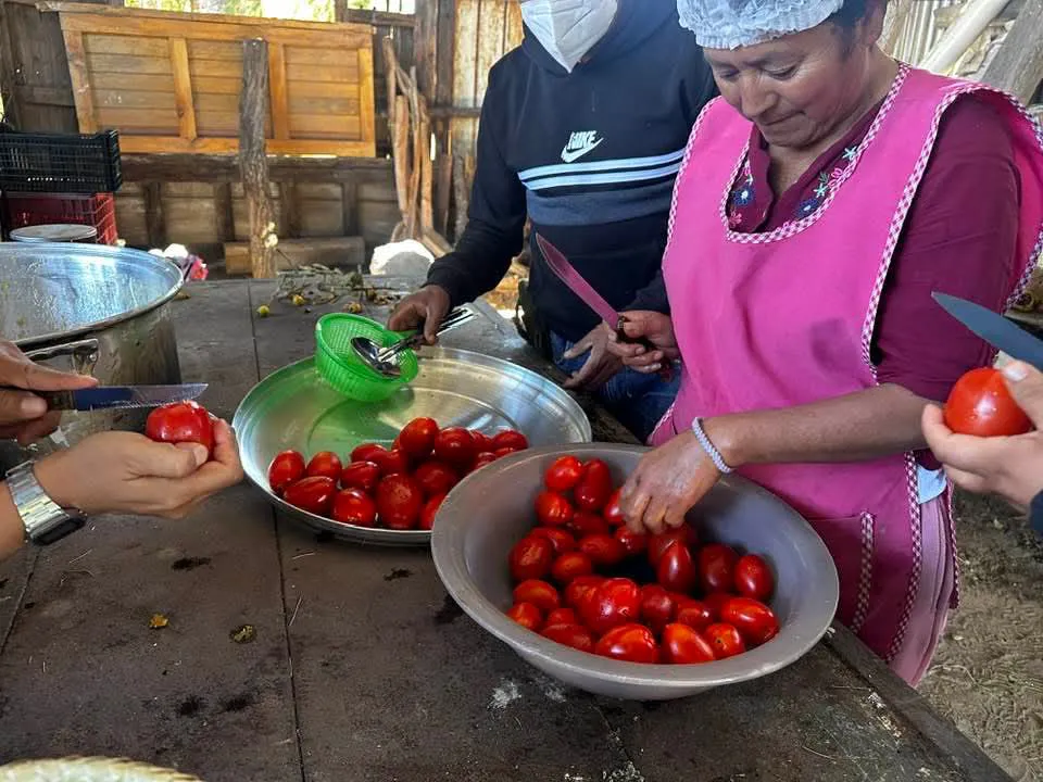 facebook_1735249474695_7278163812713368574