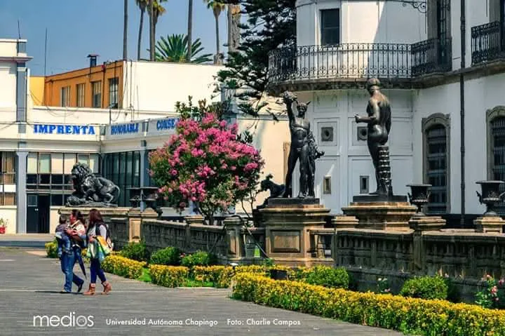 facebook_1733414846530_7270468824463392051