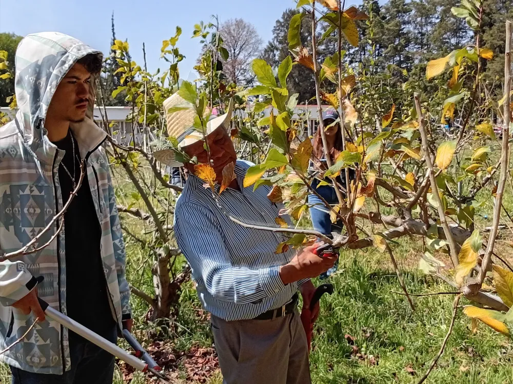 IMG_20260218_135010_1