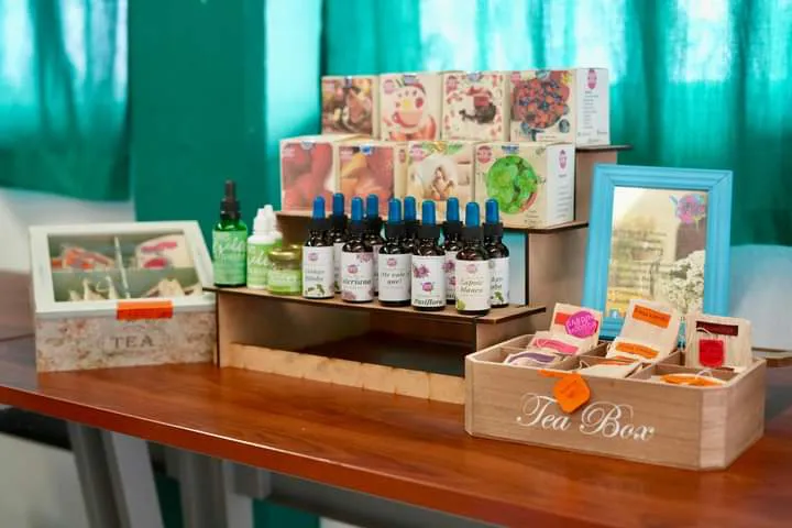 facebook_1728393658139_7249408433910257738