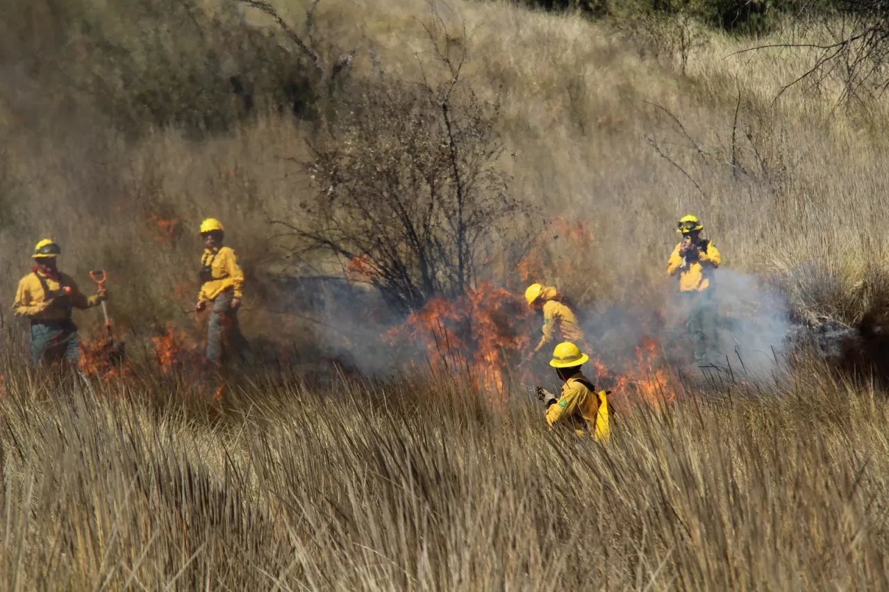 3A433D81-76F1-4382-A5A2-13FA7B3F98A4