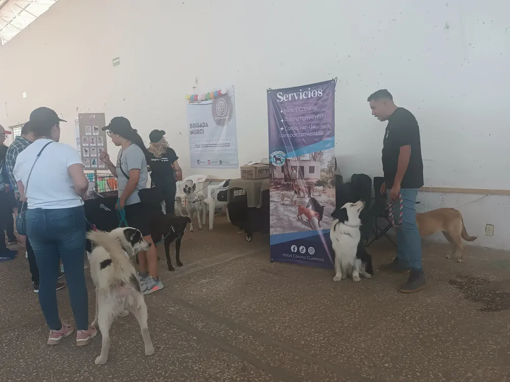 IMG_20240517_135357104