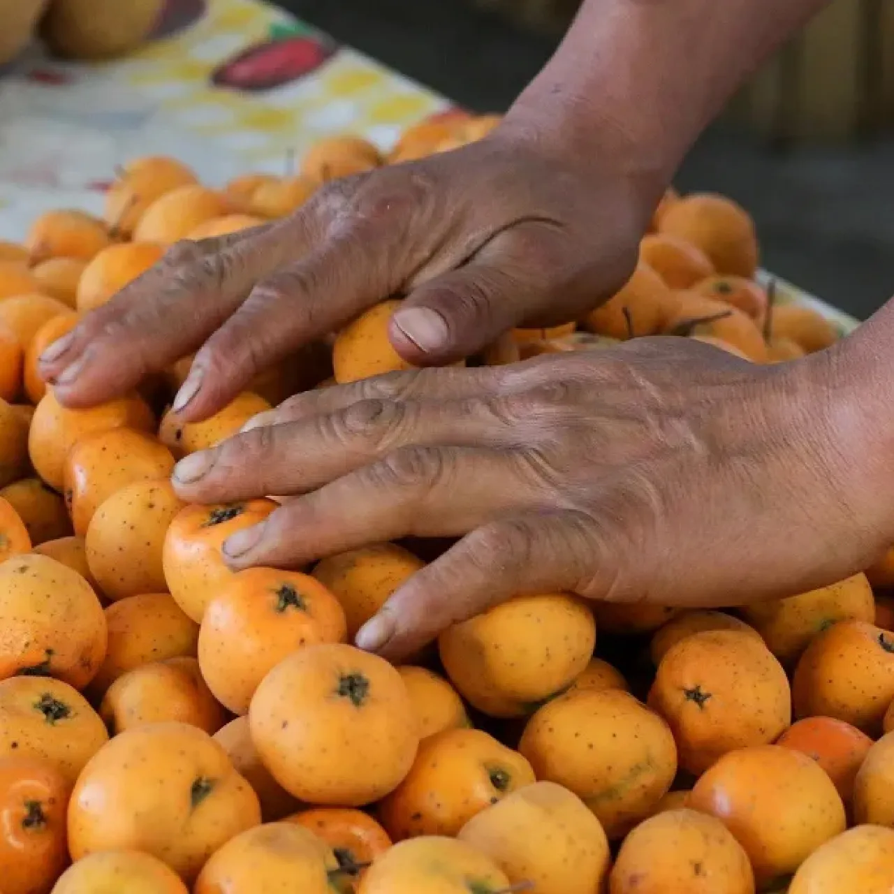 17301329912116559278532804835684