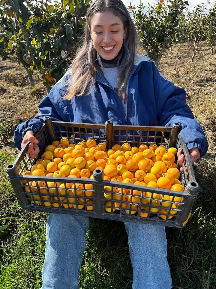 facebook_1761822293020_7389618290906613136