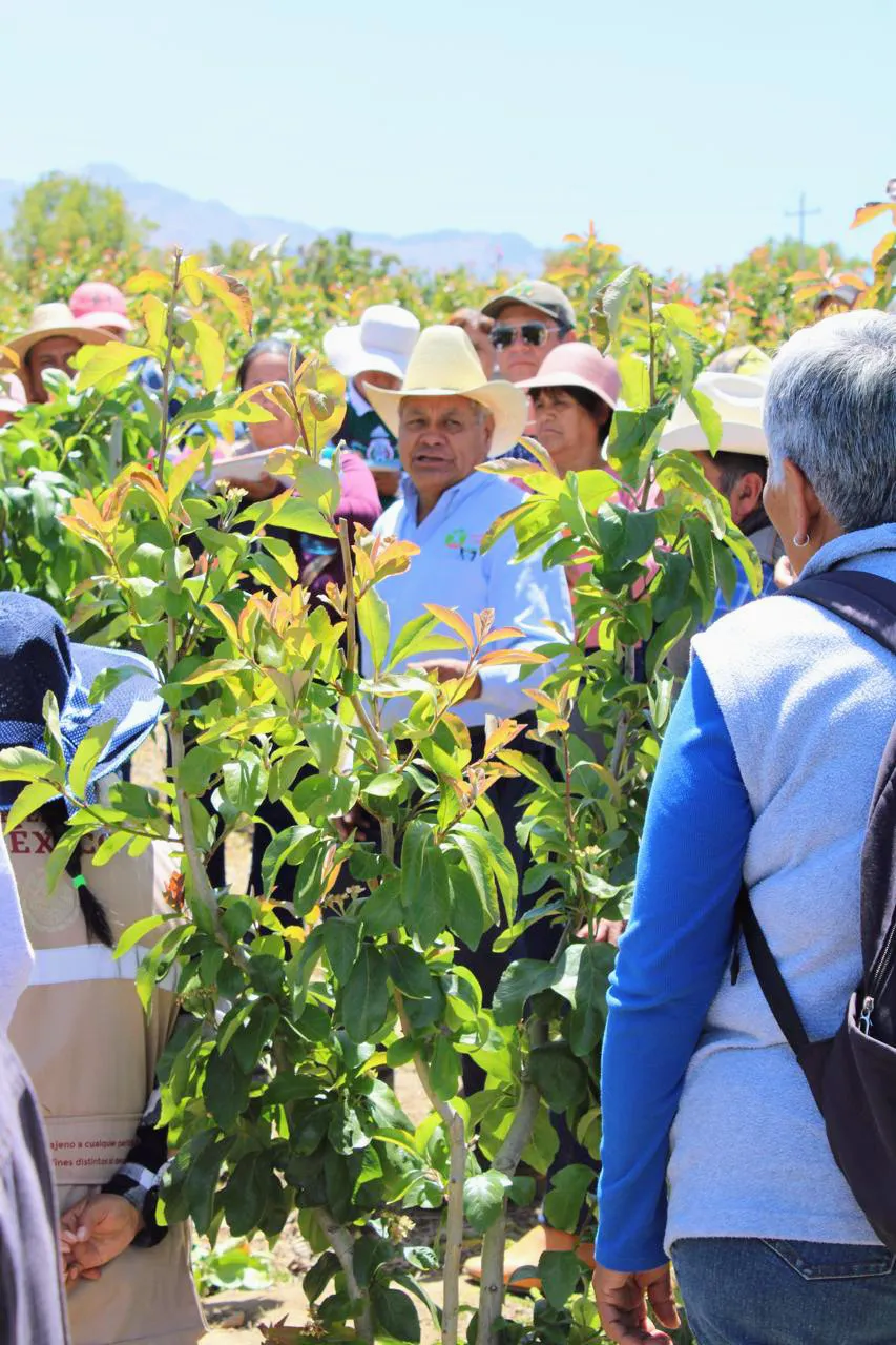 IMG-20250415-WA0010~3