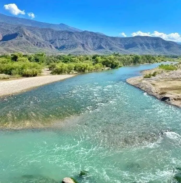 facebook_1770039644772_7424084362229394049