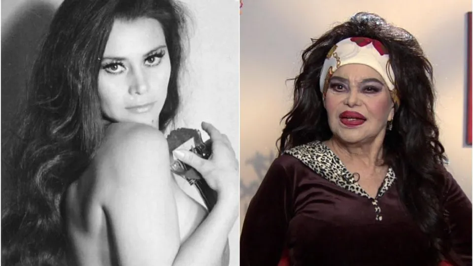 E13AF0E8-21C9-416F-BFAE-088DC8A2CE96