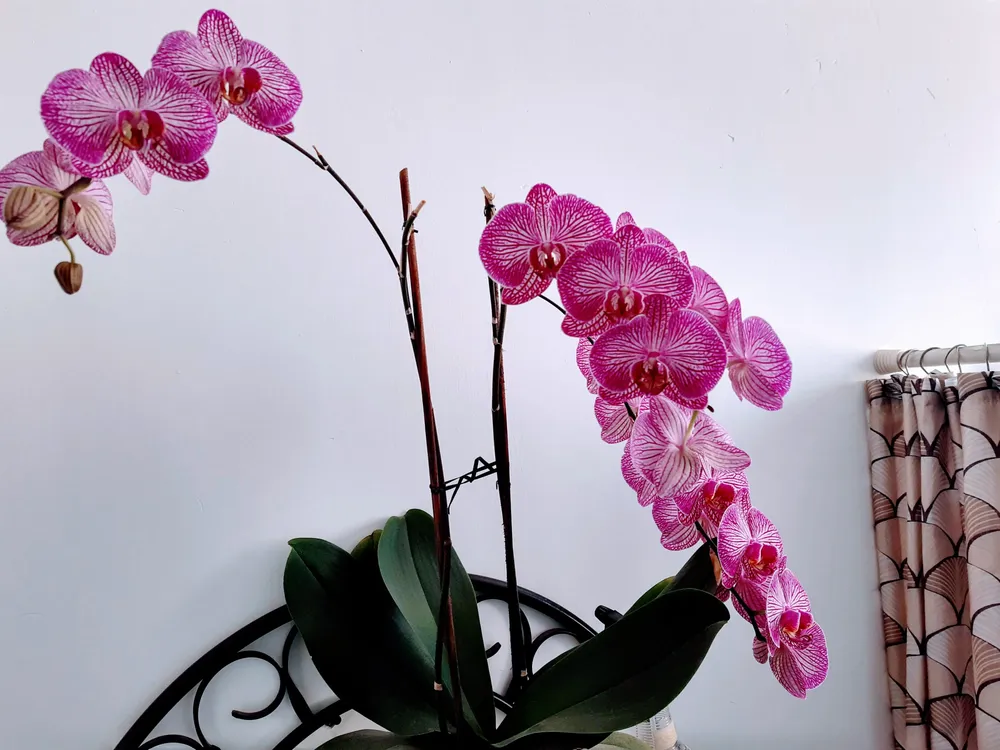 IMG_20210325_092236489_HDR