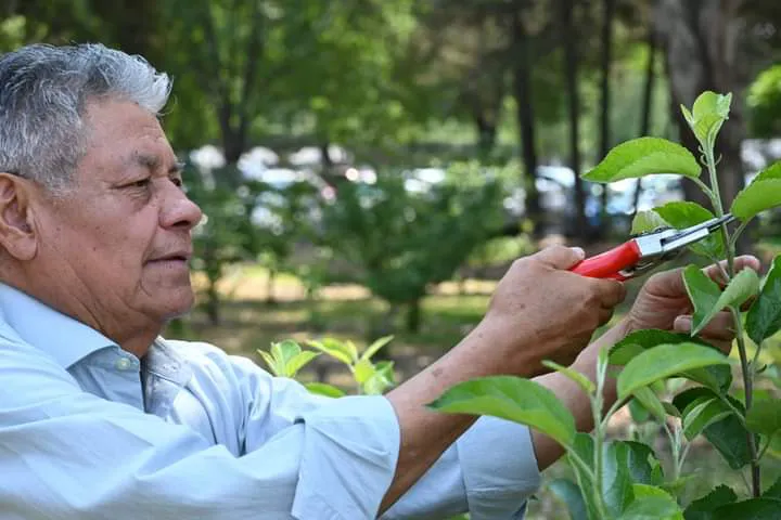 facebook_1714624409130_7191656017714149147