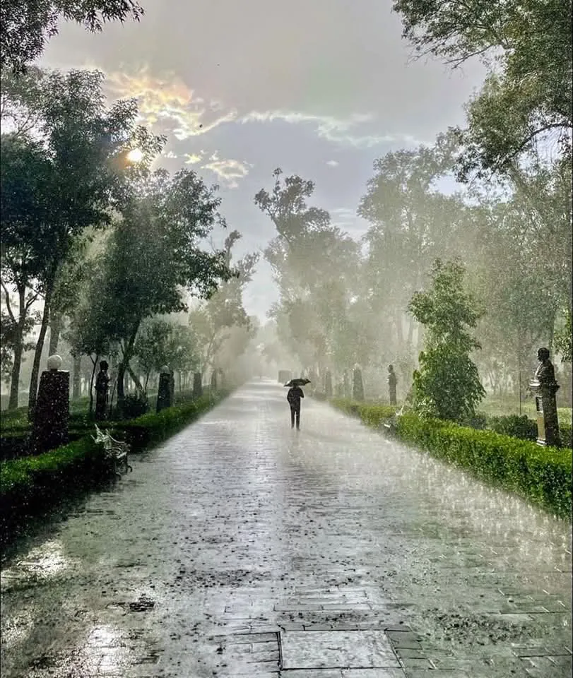 facebook_1750175206118_7340766867725554925