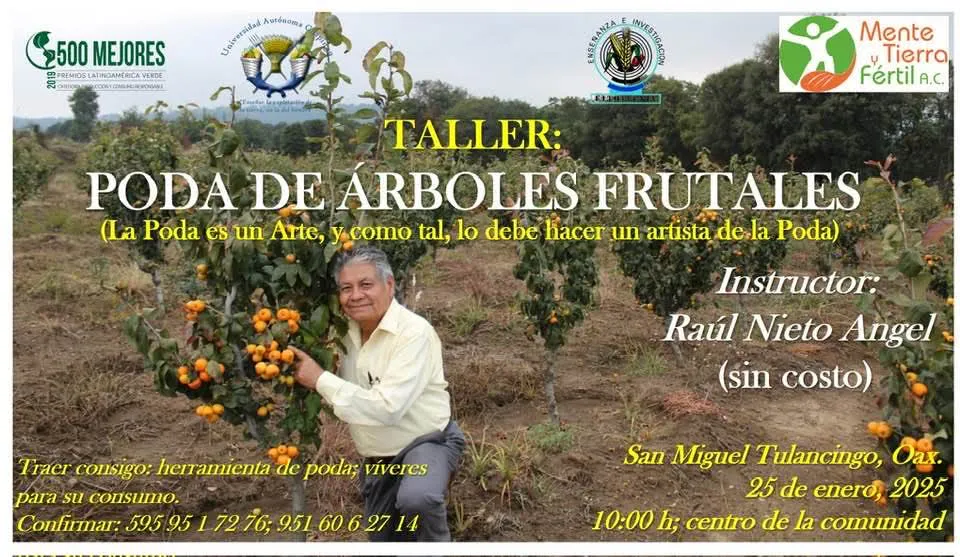 facebook_1737327629894_7286880227377663090